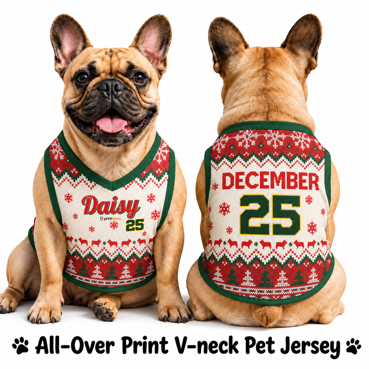 All-Over Print V-neck Pet Jersey